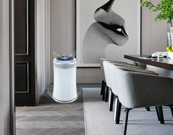 Pm2.5 Anion Air Cleaner Smoke Filter HEPA H13 Air Purifier